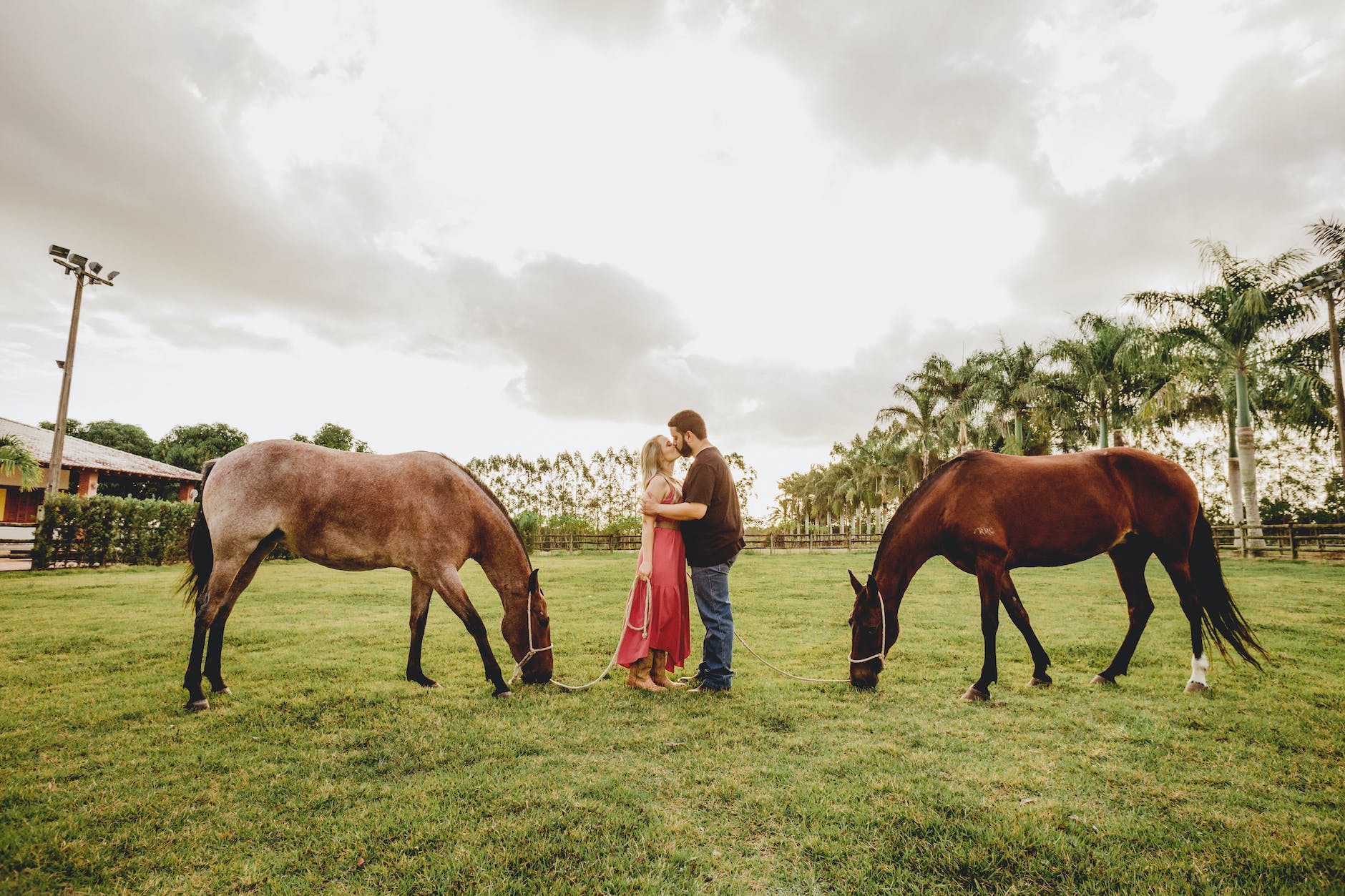 Wedding Ceremony Scripts – The Princess Bride Themed